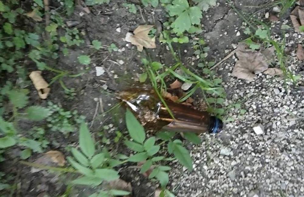 Rozhádzané odpadky Lesopark Chrasť Žilina, foto 10