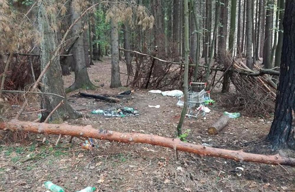 FOTO: Neporiadni návštevníci lesa v Bánovej po sebe zanechávajú neporiadok, foto 2