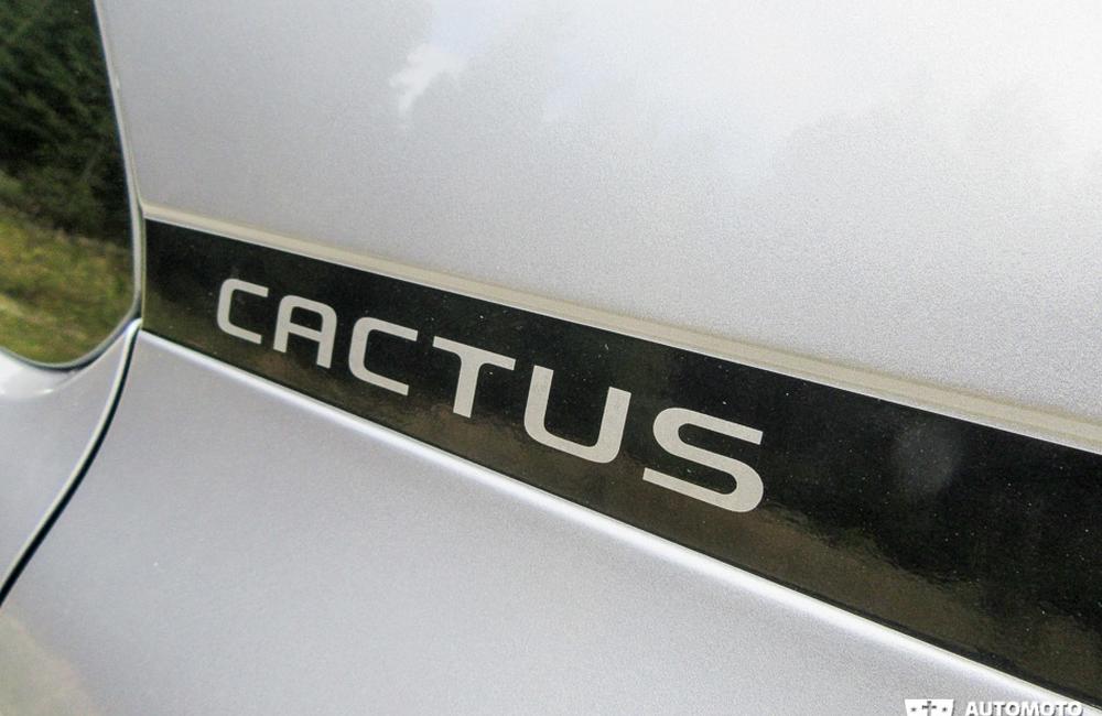 Redakčný test Citroën C4 Cactus, foto 17