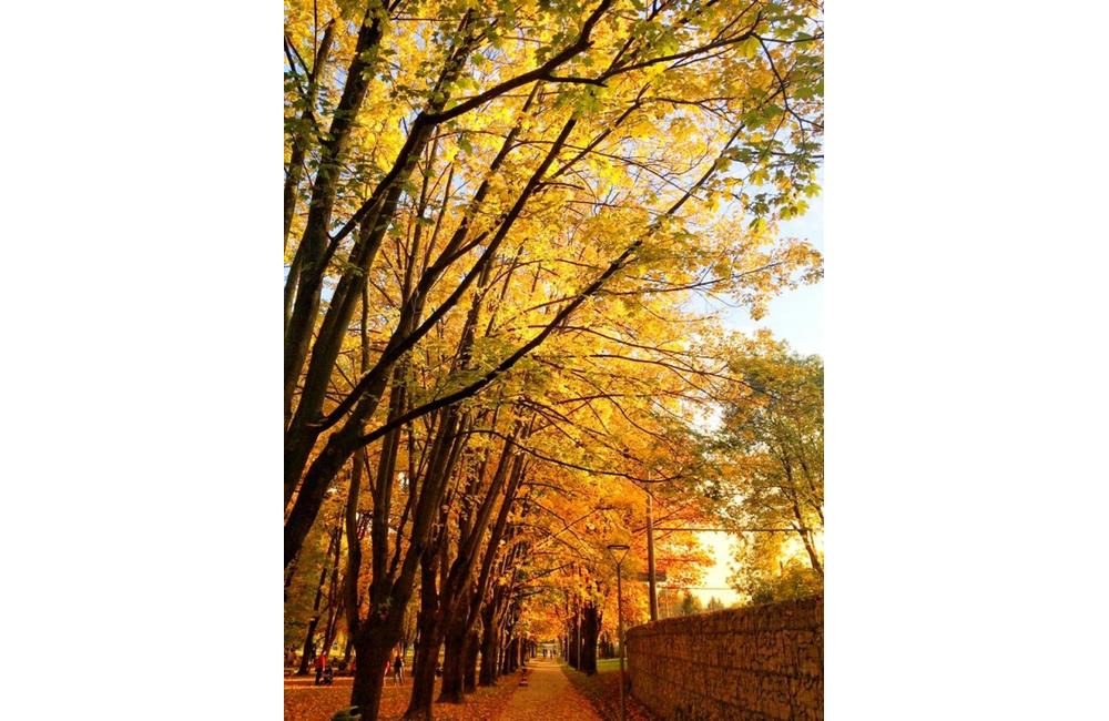 FOTO: Jesenné zábery Žiliny a okolia od našich čitateľov, foto 2