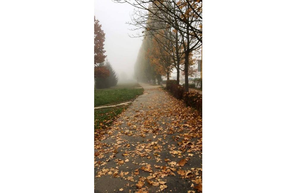 FOTO: Jesenné zábery Žiliny a okolia od našich čitateľov, foto 11