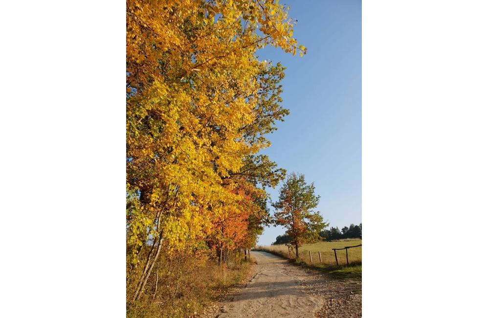 FOTO: Jesenné zábery Žiliny a okolia od našich čitateľov, foto 17
