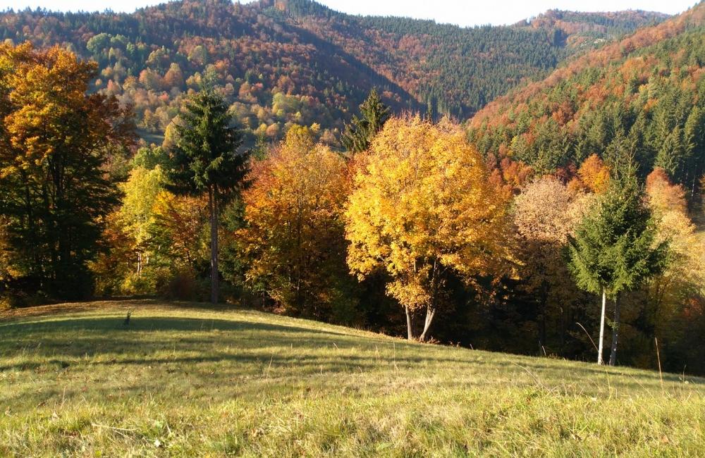 FOTO: Jesenné zábery Žiliny a okolia od našich čitateľov, foto 18