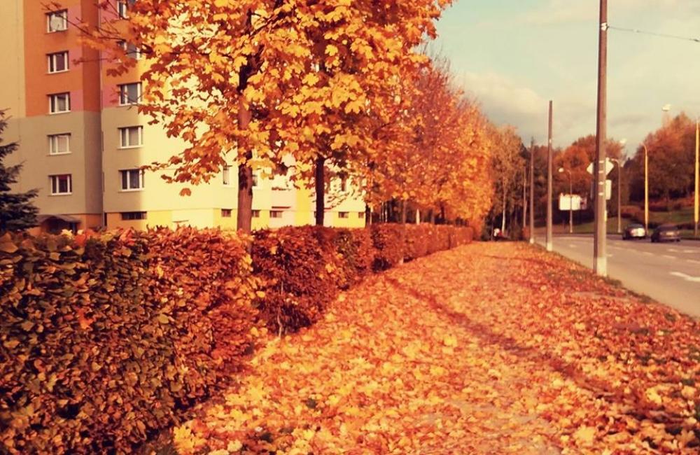 FOTO: Jesenné zábery Žiliny a okolia od našich čitateľov, foto 16