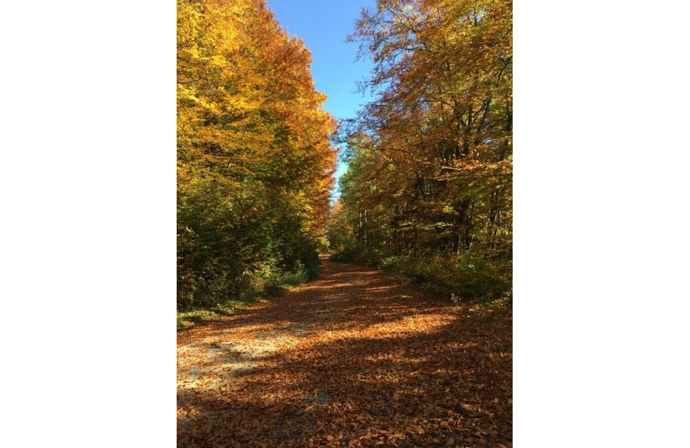 FOTO: Jesenné zábery Žiliny a okolia od našich čitateľov, foto 21