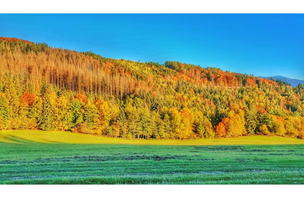 FOTO: Jesenné zábery Žiliny a okolia od našich čitateľov, foto 20