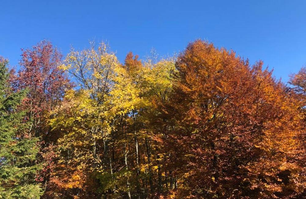 FOTO: Jesenné zábery Žiliny a okolia od našich čitateľov, foto 30