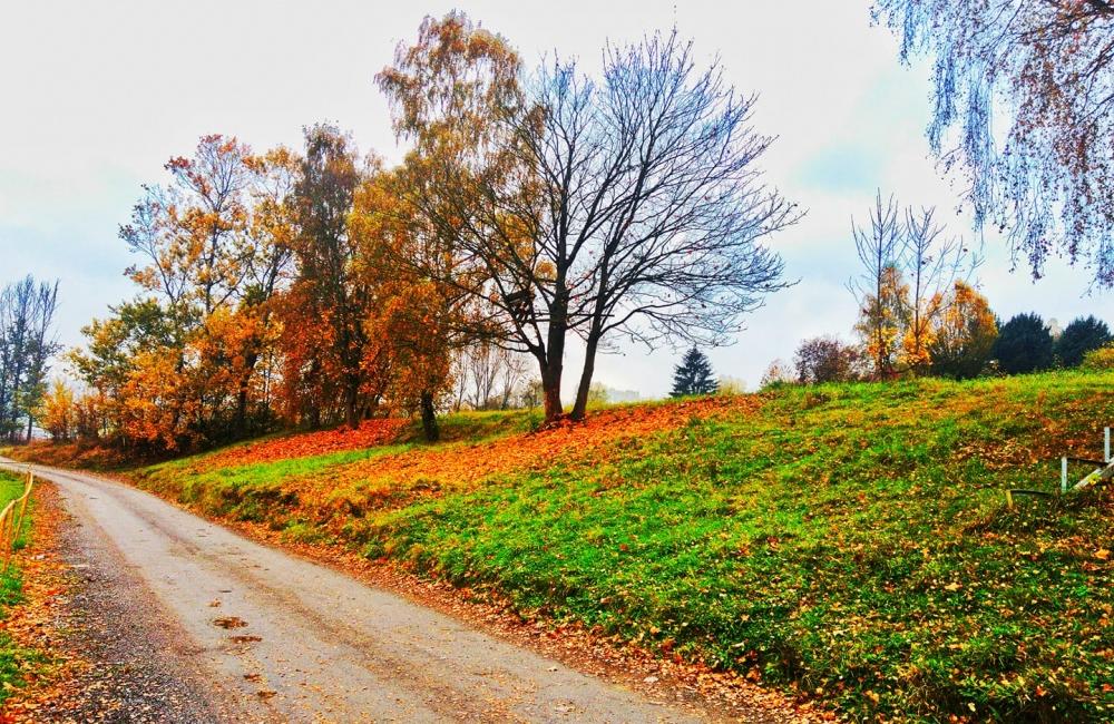 FOTO: Jesenné zábery Žiliny a okolia od našich čitateľov, foto 36