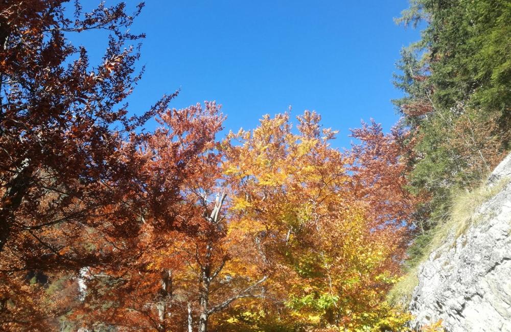 FOTO: Jesenné zábery Žiliny a okolia od našich čitateľov, foto 37
