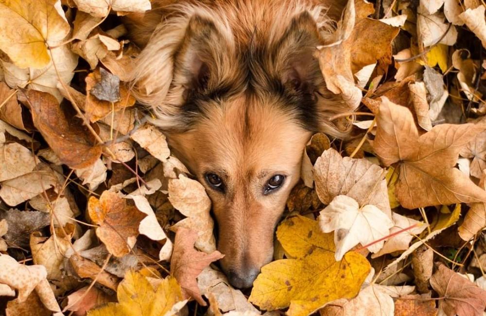 FOTO: Jesenné zábery Žiliny a okolia od našich čitateľov, foto 40