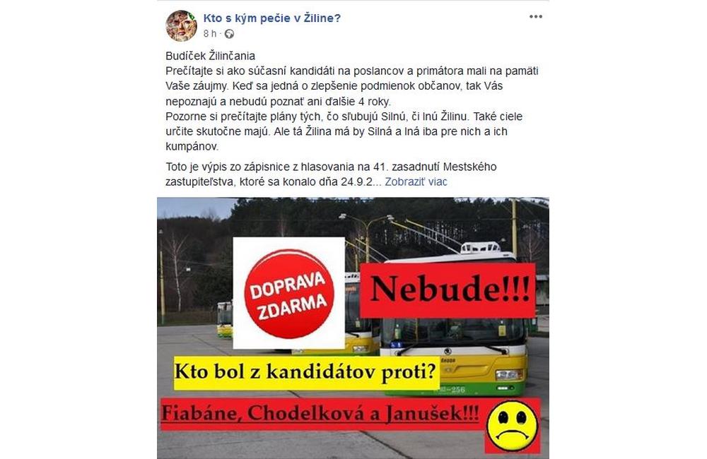 Predvolebná antikampaň 2018 Žilina, foto 13