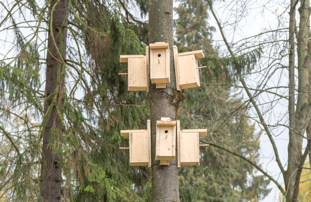 FOTO: V Parku Ľudovíta Štúra na Bôriku pribudli vtáčie búdky, foto 8