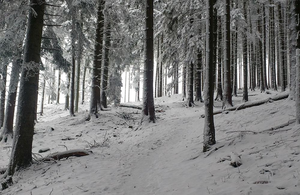 FOTO: Silvestrovský výstup na Minčol priniesol fantastické pohľady na zimnú krajinu, foto 3