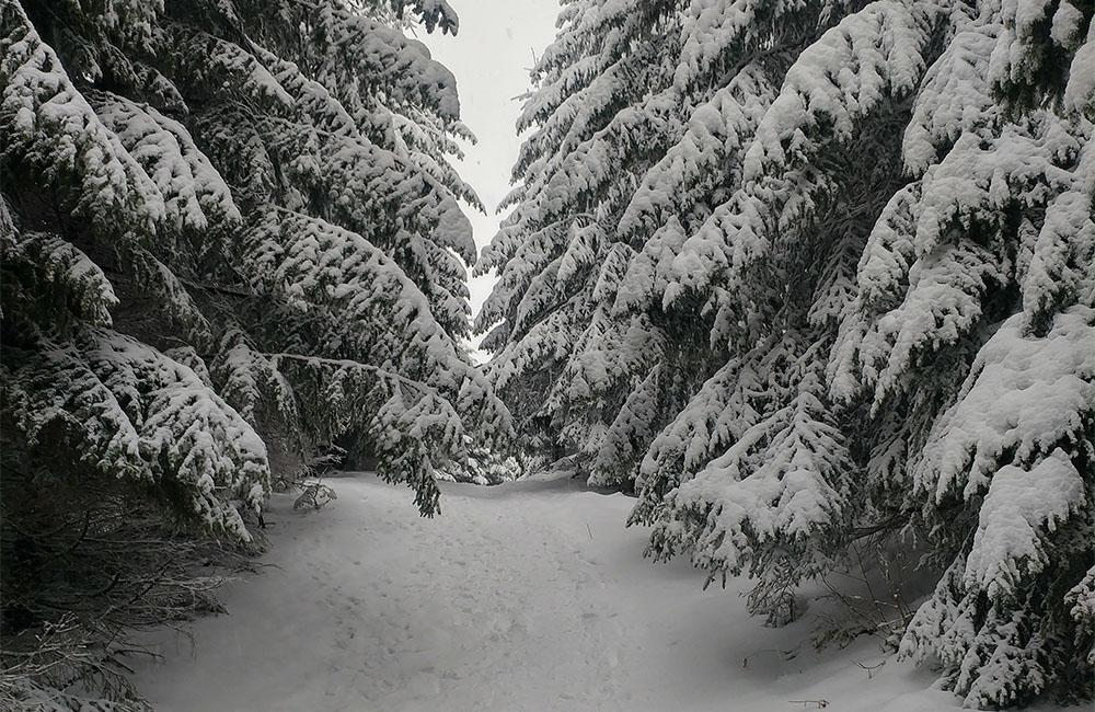 FOTO: Silvestrovský výstup na Minčol priniesol fantastické pohľady na zimnú krajinu, foto 4