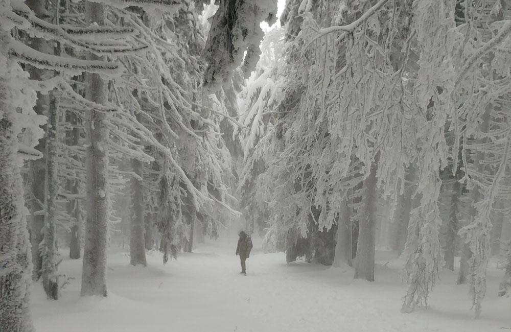 FOTO: Silvestrovský výstup na Minčol priniesol fantastické pohľady na zimnú krajinu, foto 1