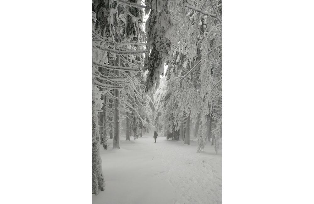 FOTO: Silvestrovský výstup na Minčol priniesol fantastické pohľady na zimnú krajinu, foto 11