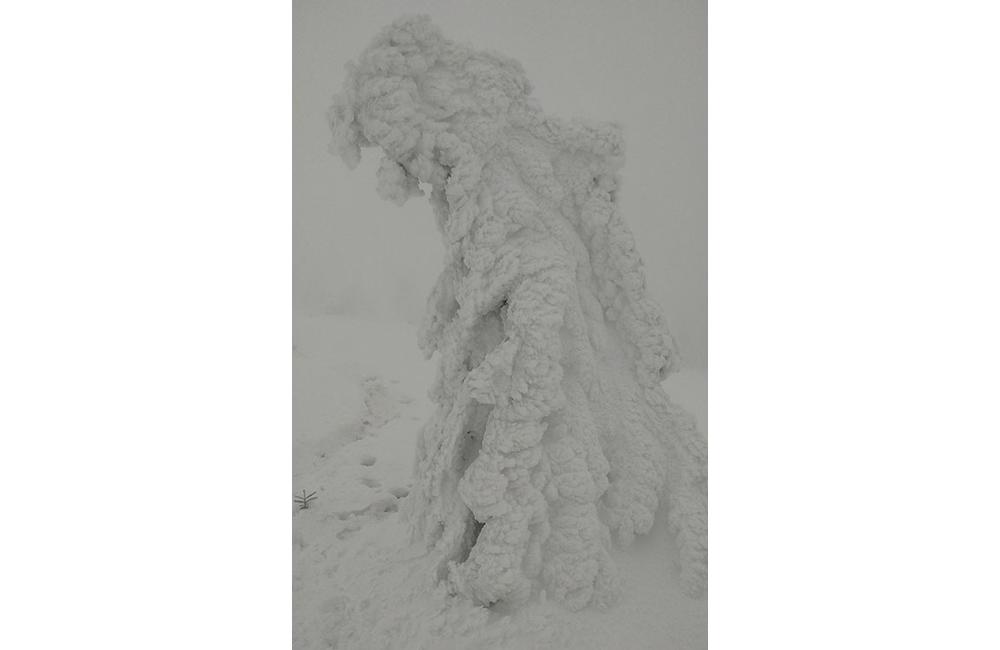 FOTO: Silvestrovský výstup na Minčol priniesol fantastické pohľady na zimnú krajinu, foto 12