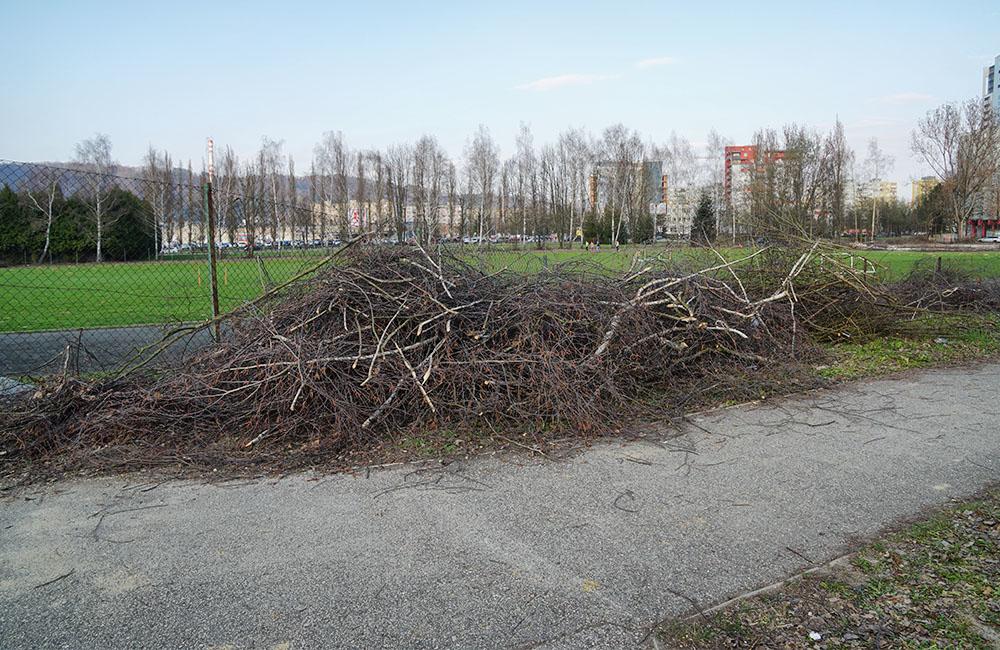FOTO: Výrub stromov na športovisku v areáli Žilinskej univerzity, foto 1