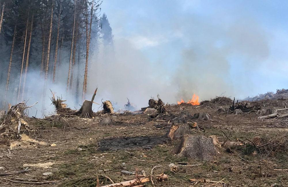 FOTO: Na Kysuciach horia lesy, zasahuje množstvo profesionálnych aj dobrovoľných hasičov, foto 1