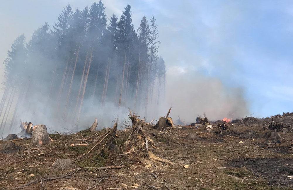 FOTO: Na Kysuciach horia lesy, zasahuje množstvo profesionálnych aj dobrovoľných hasičov, foto 4