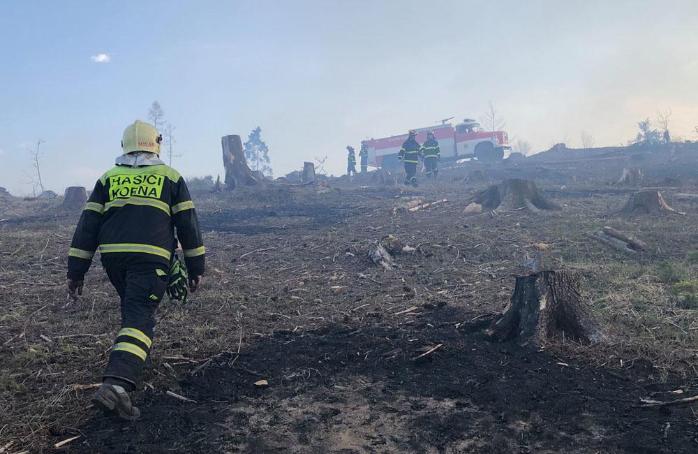FOTO: Na Kysuciach horia lesy, zasahuje množstvo profesionálnych aj dobrovoľných hasičov, foto 6
