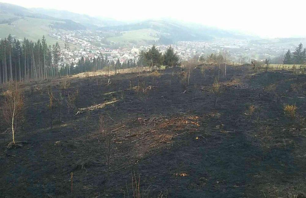 Požiar v obci Raková (okres Čadca) v apríli 2019, foto 5