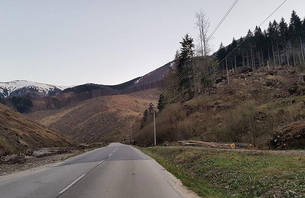 FOTO: Smutný pohľad na Vrátnu dolinu, namiesto lesov už len prázdne kopce, foto 2