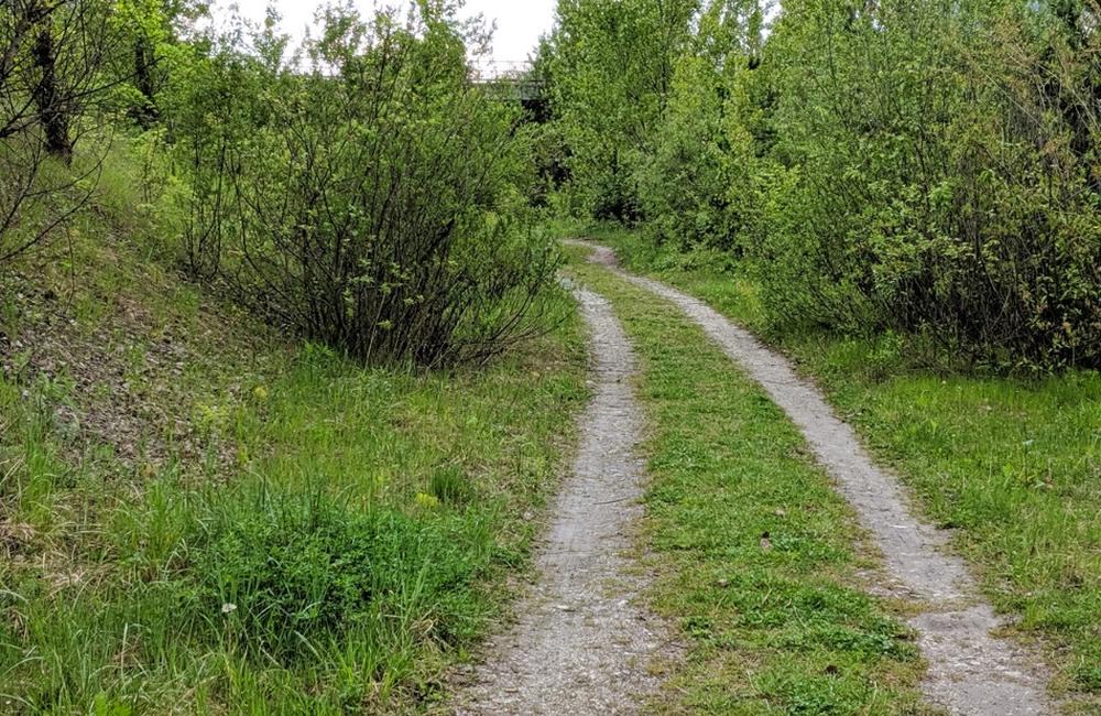 Úsek medzi Budatínskym mostom a Hydrouzlom spevnia asfaltom, vznikne nová cyklotrasa, foto 14