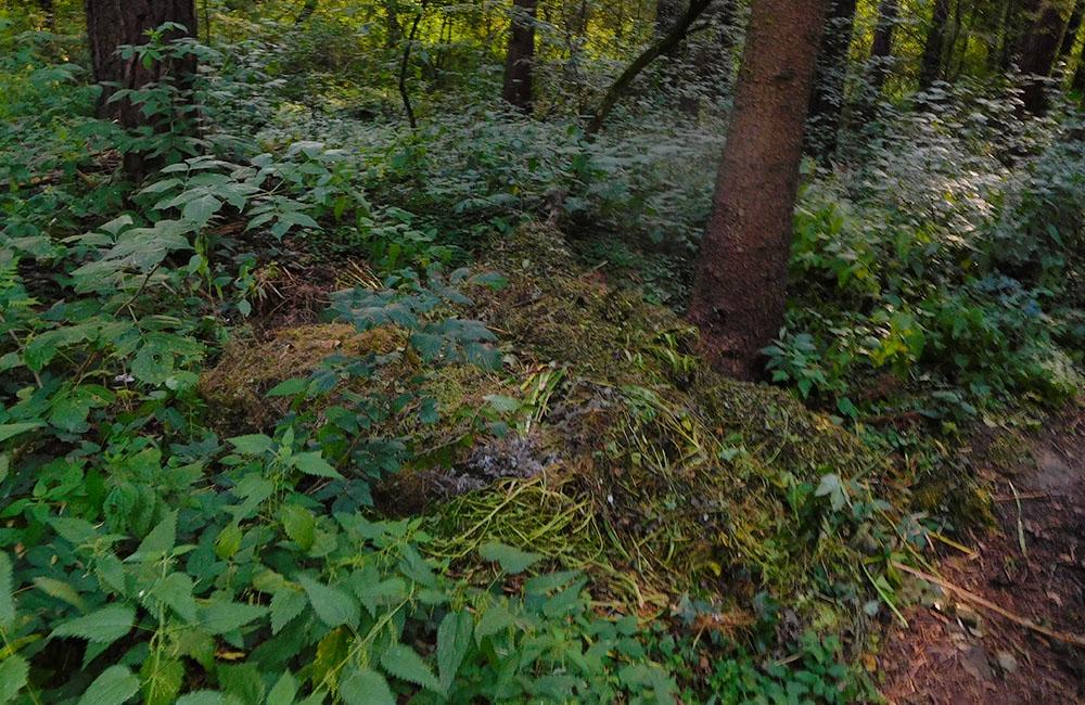 Záhradkári a dobrovoľníci čistili okraj žilinského lesoparku od bioodpadu, foto 1