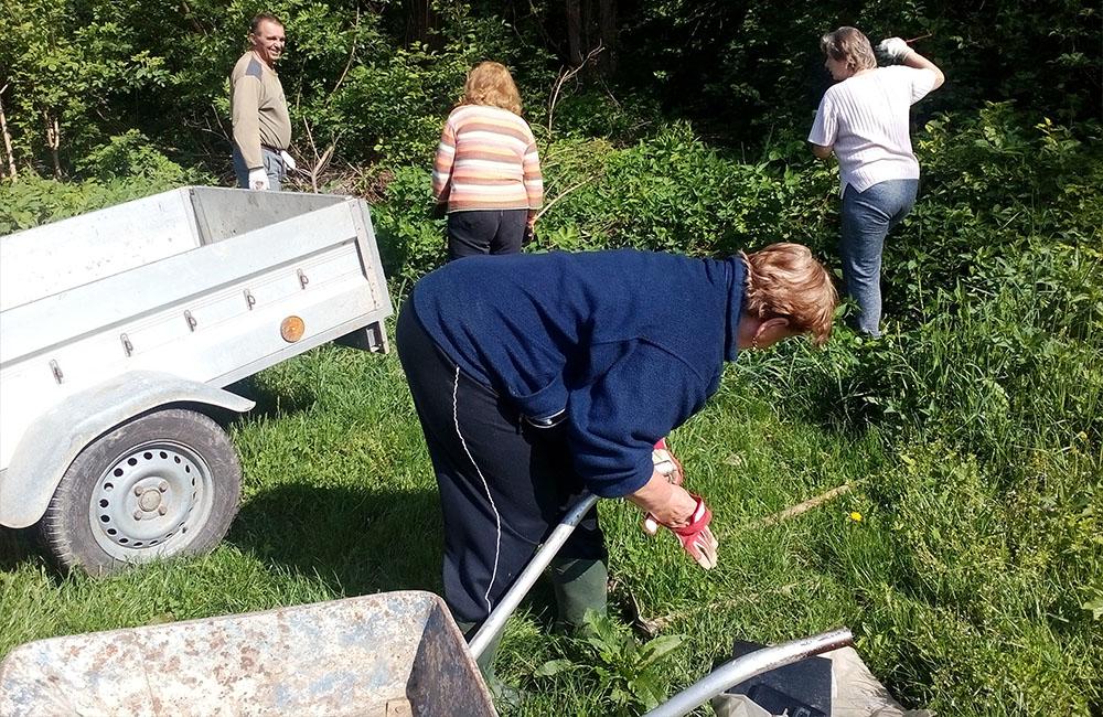 Záhradkári a dobrovoľníci čistili okraj žilinského lesoparku od bioodpadu, foto 6