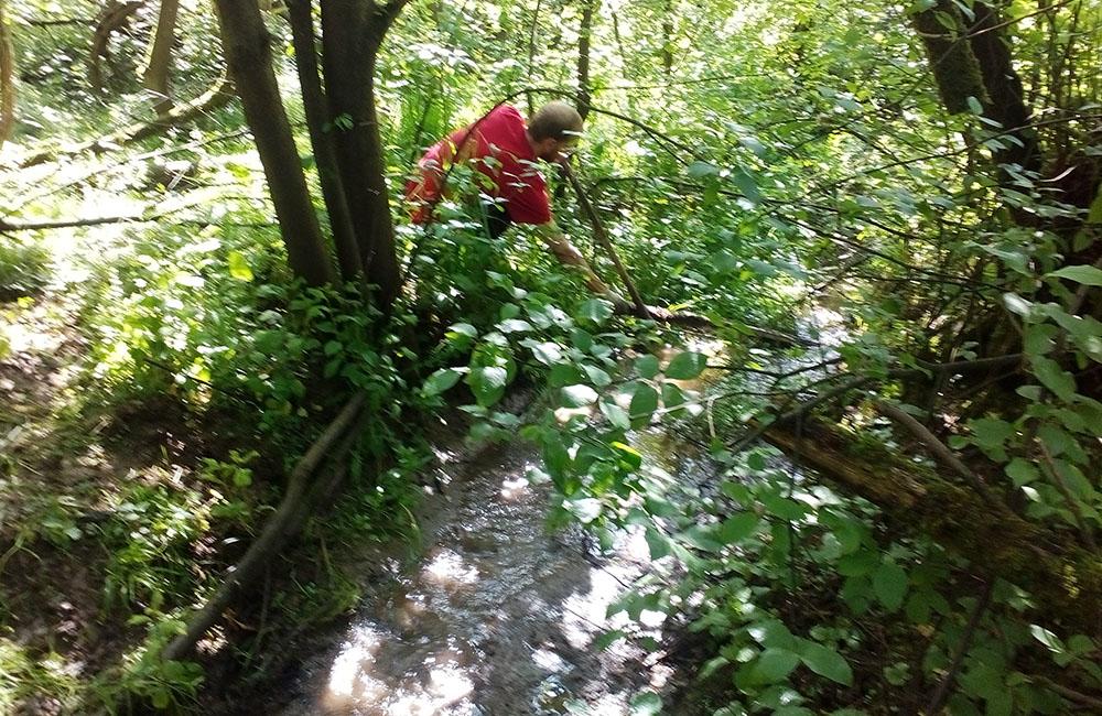 Záhradkári a dobrovoľníci čistili okraj žilinského lesoparku od bioodpadu, foto 10