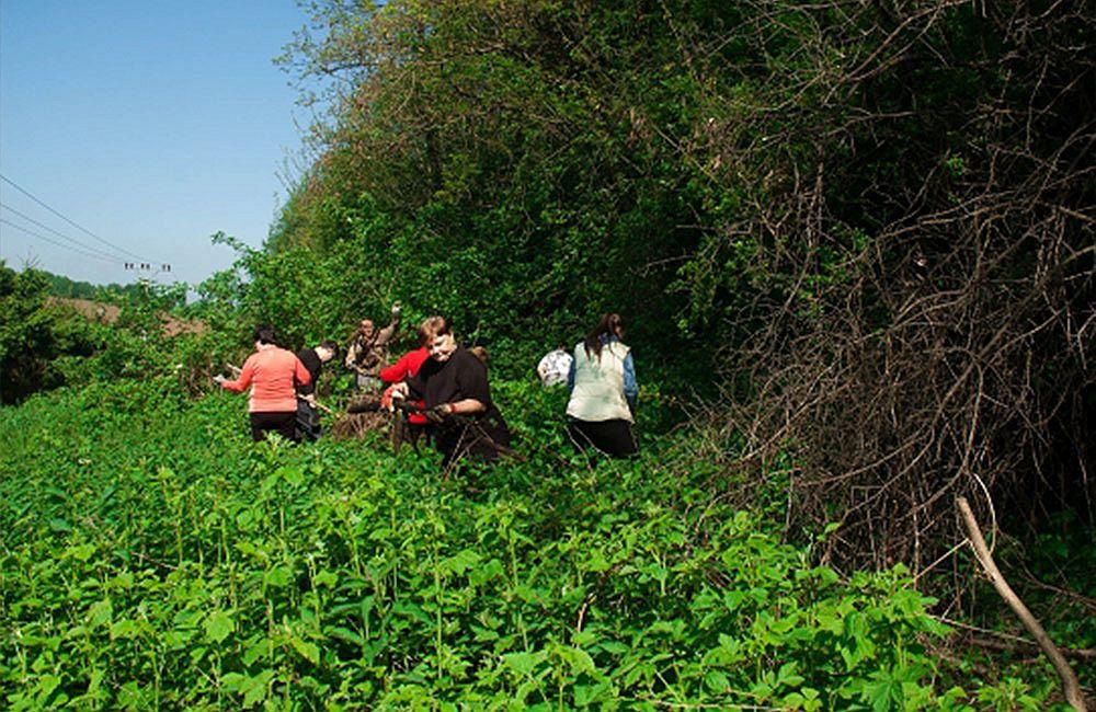Záhradkári a dobrovoľníci čistili okraj žilinského lesoparku od bioodpadu, foto 14