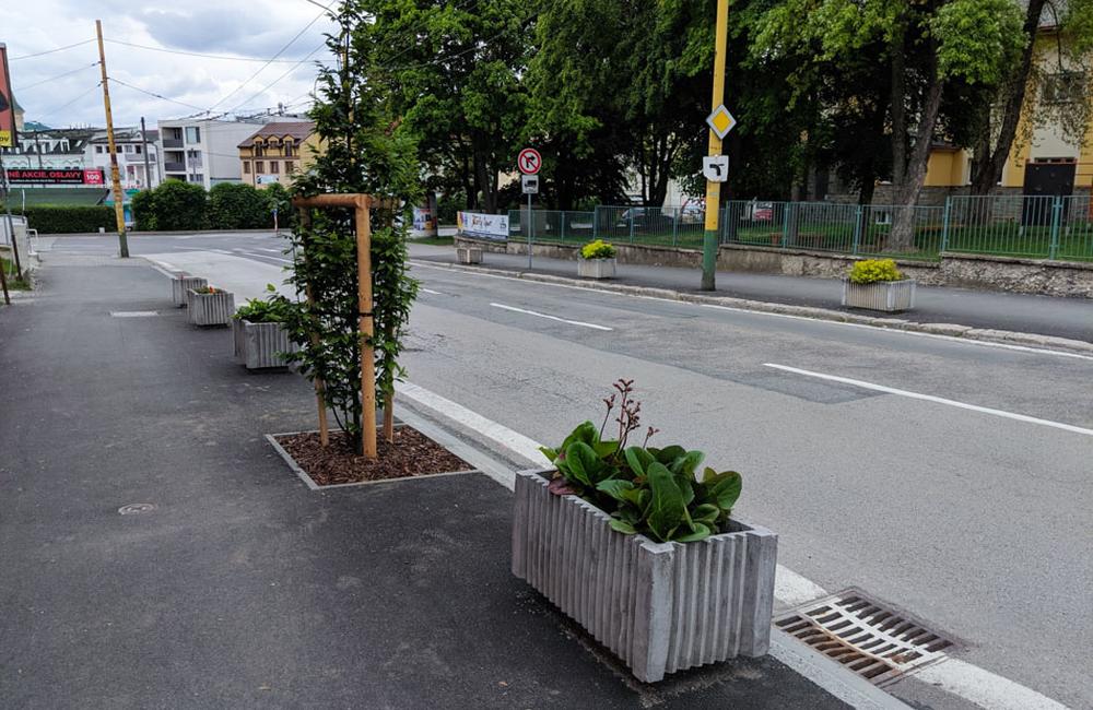 FOTO: Na ulici Komenského pribudla nová zeleň, foto 3