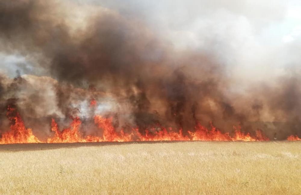 FOTO: Požiar poľa s obilím v obci Sučany 8.7.2019, foto 1