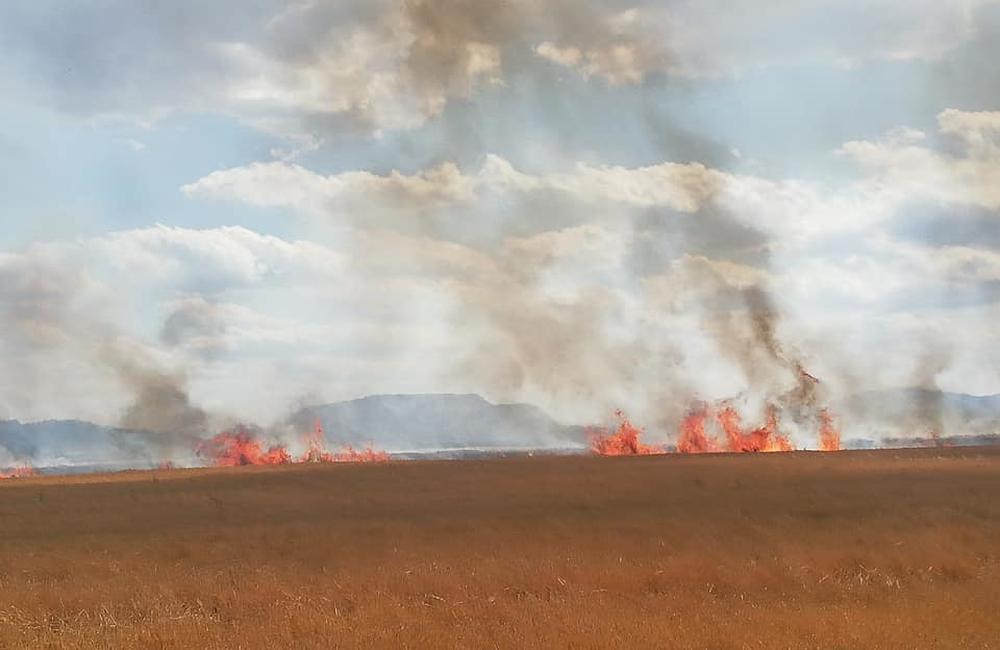 FOTO: Požiar poľa s obilím v obci Sučany 8.7.2019, foto 3