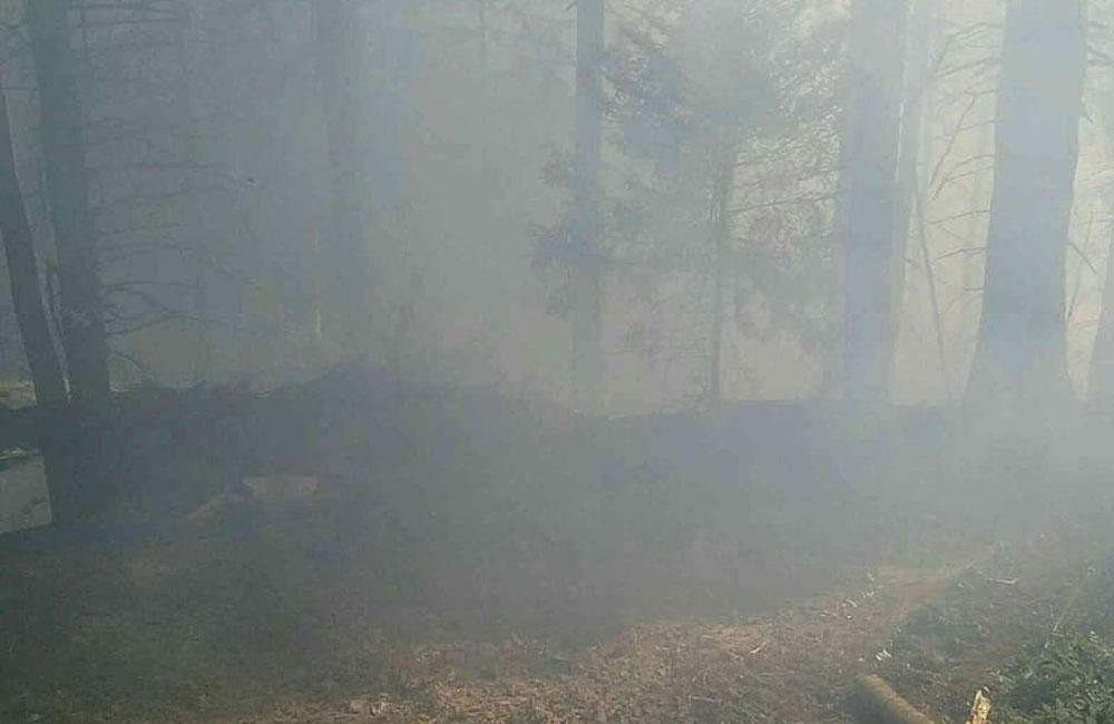 FOTO: Pri hasení lesného požiaru na Orave zasahuje 30 hasičov, zasiahnutá plocha je 1500 m2, foto 3