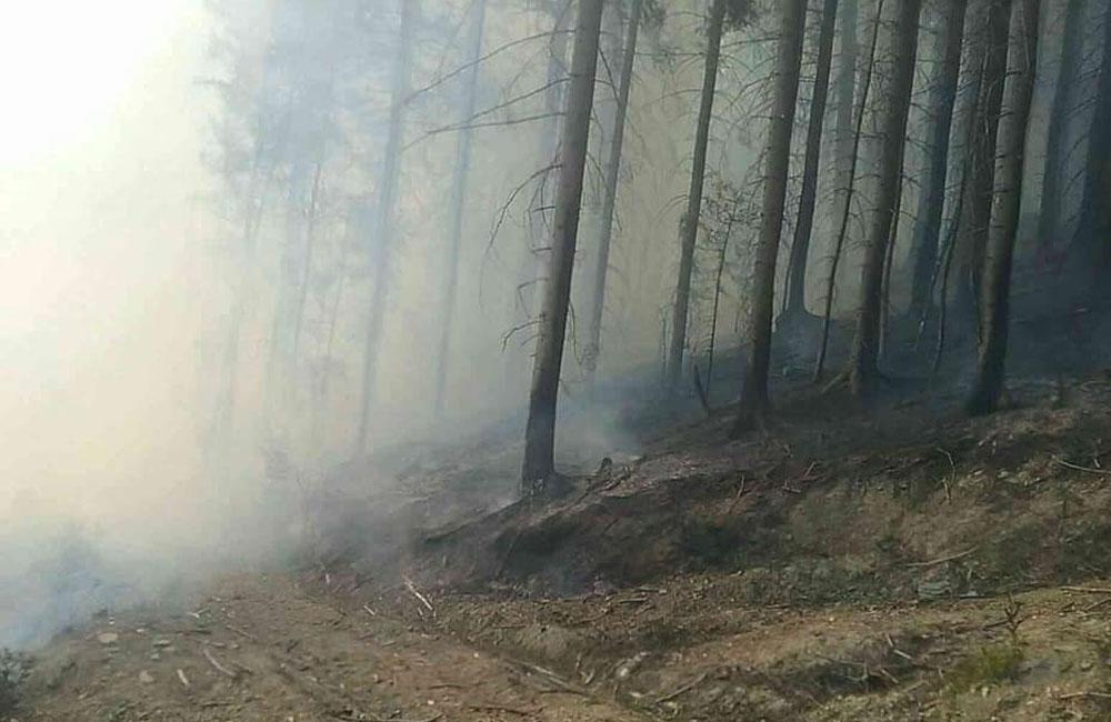 FOTO: Pri hasení lesného požiaru na Orave zasahuje 30 hasičov, zasiahnutá plocha je 1500 m2, foto 2