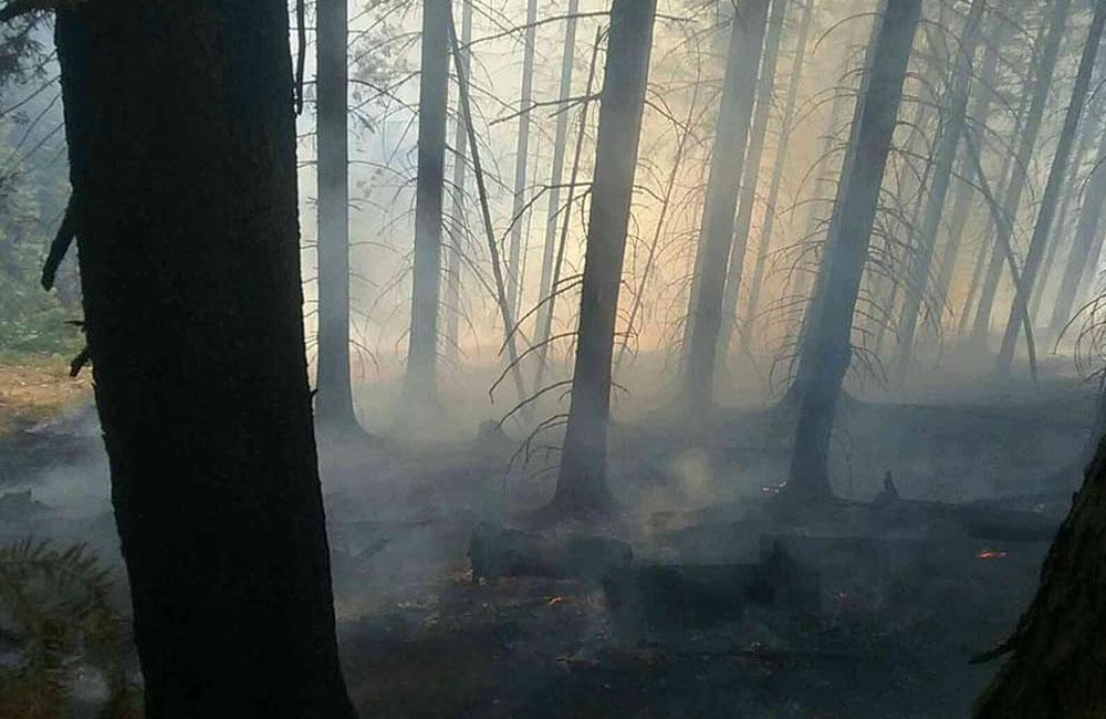 FOTO: Pri hasení lesného požiaru na Orave zasahuje 30 hasičov, zasiahnutá plocha je 1500 m2, foto 1