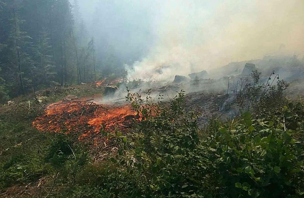 FOTO: Pri hasení lesného požiaru na Orave zasahuje 30 hasičov, zasiahnutá plocha je 1500 m2, foto 4