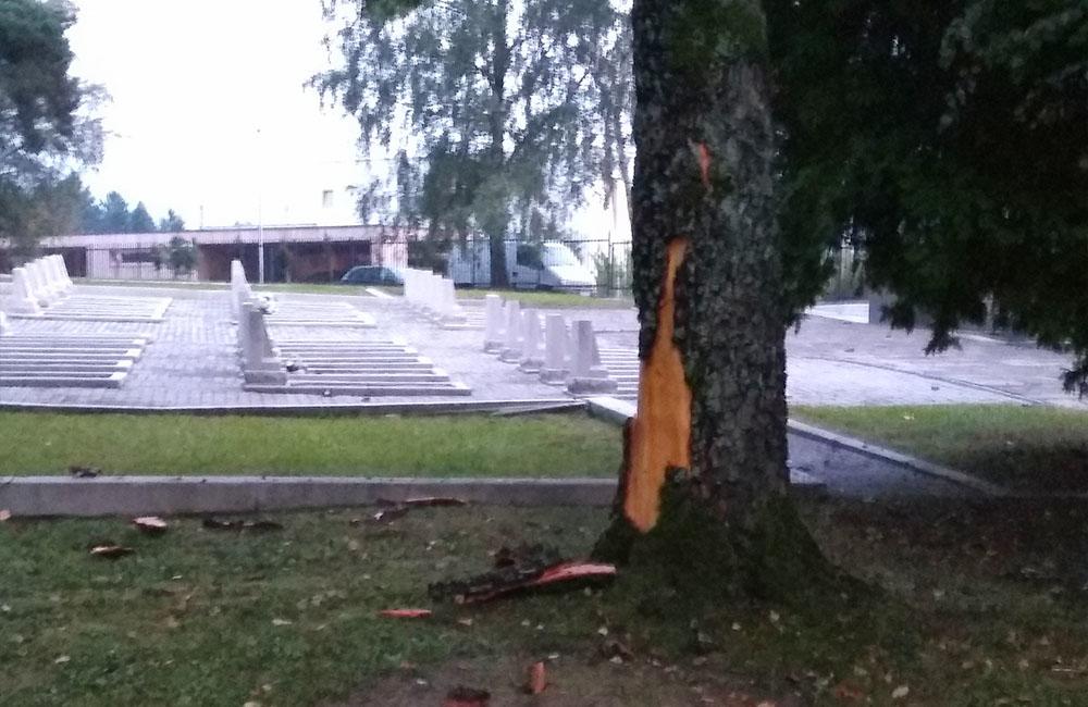 FOTO: Na vojenskom cintoríne na Bôriku udrel blesk do stromu, kôru rozmetalo po okolí, foto 3