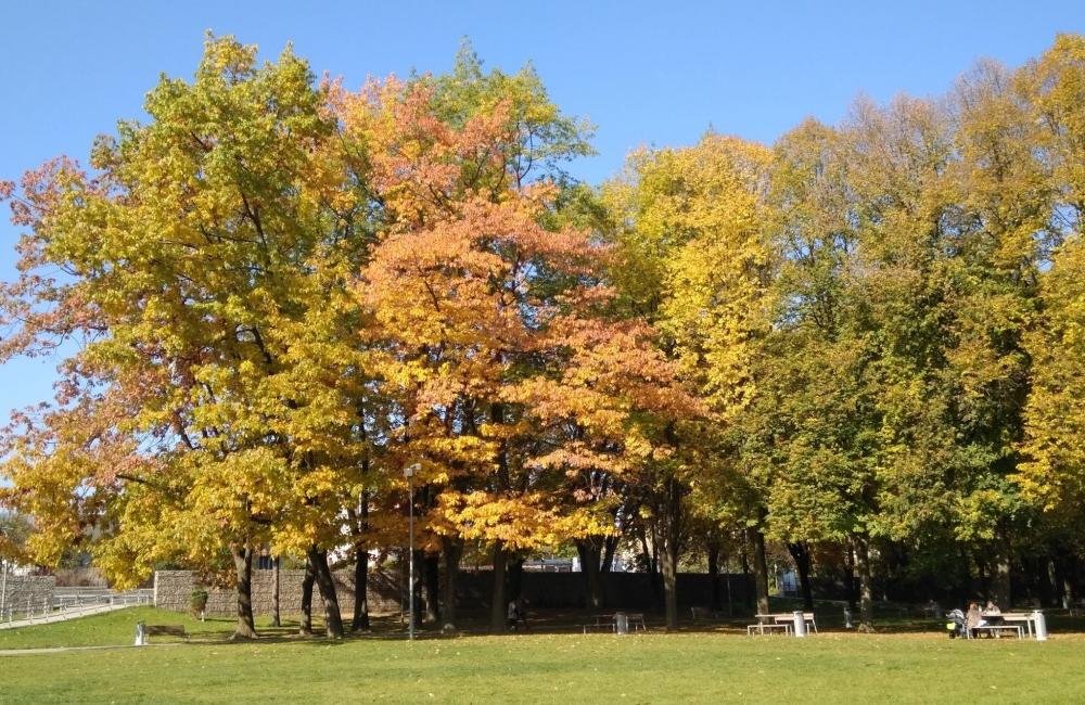 FOTO: Jeseň v Žiline a okolí na záberoch od našich čitateľov, foto 1