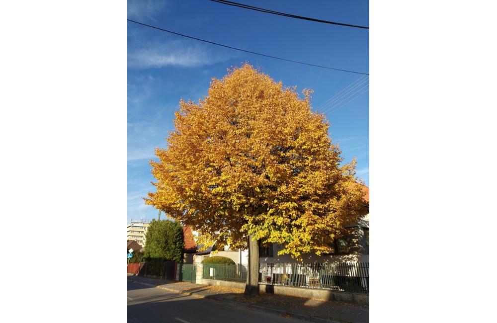 FOTO: Jeseň v Žiline a okolí na záberoch od našich čitateľov, foto 7