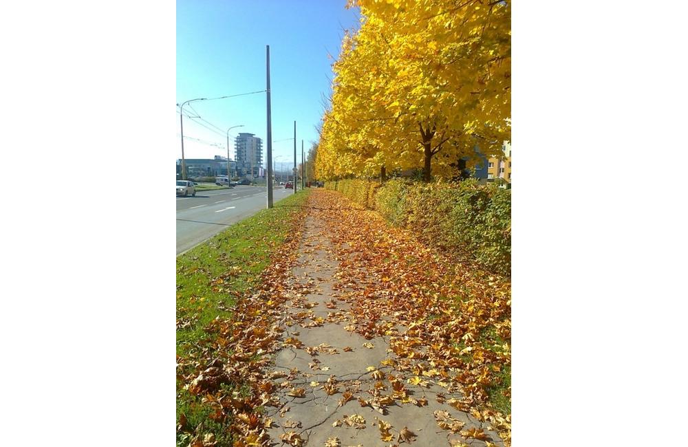 FOTO: Jeseň v Žiline a okolí na záberoch od našich čitateľov, foto 13