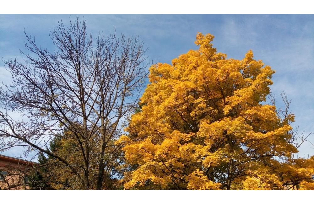 FOTO: Jeseň v Žiline a okolí na záberoch od našich čitateľov, foto 15