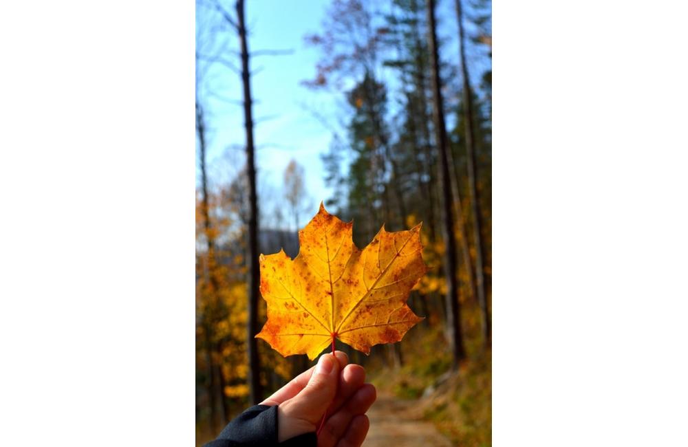FOTO: Jeseň v Žiline a okolí na záberoch od našich čitateľov, foto 16