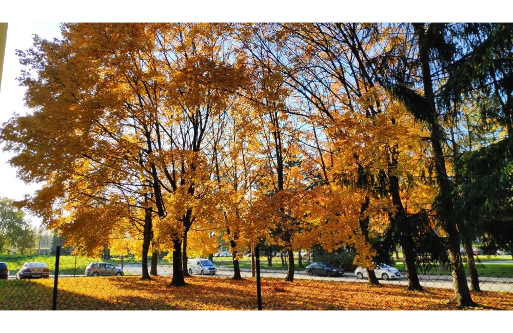FOTO: Jeseň v Žiline a okolí na záberoch od našich čitateľov, foto 17
