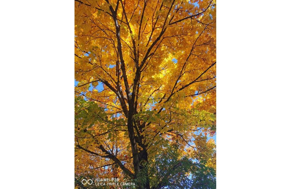 FOTO: Jeseň v Žiline a okolí na záberoch od našich čitateľov, foto 19