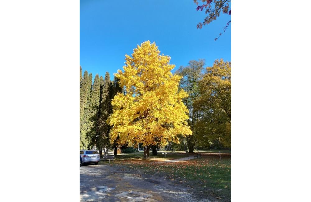 FOTO: Jeseň v Žiline a okolí na záberoch od našich čitateľov, foto 23