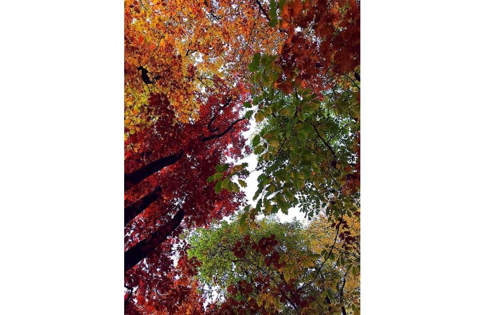 FOTO: Jeseň v Žiline a okolí na záberoch od našich čitateľov, foto 32