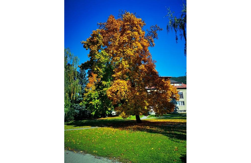 FOTO: Jeseň v Žiline a okolí na záberoch od našich čitateľov, foto 46